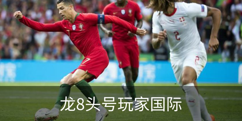 龙8头号玩家国际品牌故事